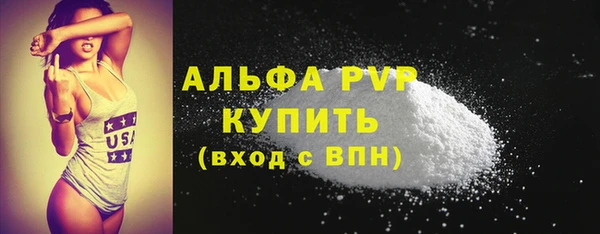 прущие крисы Горняк