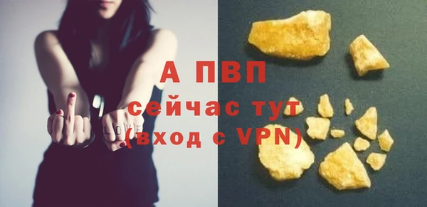 прущие крисы Горняк