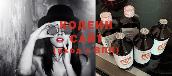 прущие крисы Горняк
