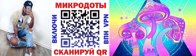 Купить закладки  Судак  Псилоцибиновые грибы MAGIC MUSHROOMS 