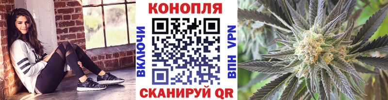 Купить  Судак  Конопля сатива 